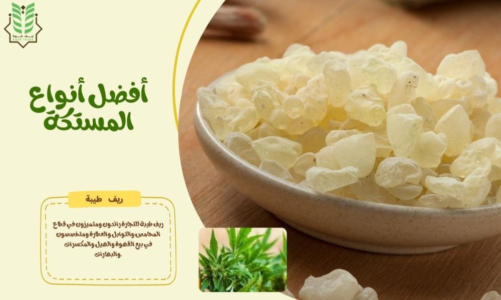 أفضل أنواع المستكة | الفروق، الأسعار، الفوائد، وكيف تميز الأصلية من التقليد
