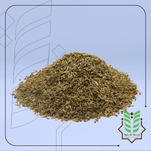 بذور الخس