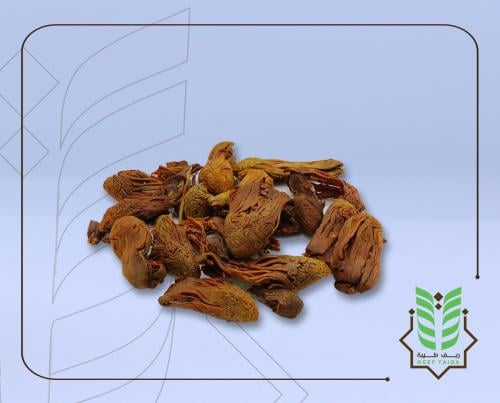 بسباسة