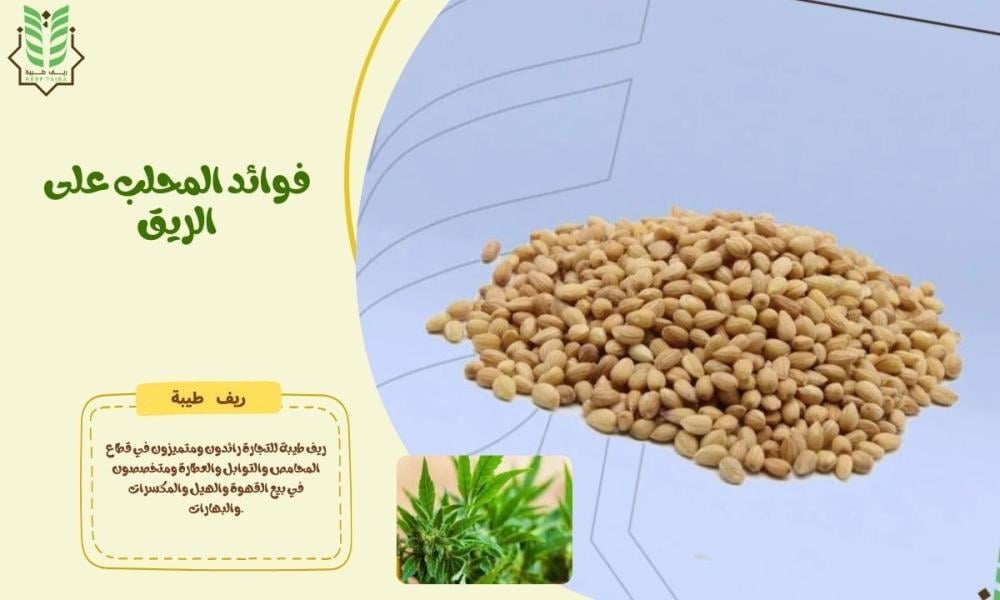 فوائد المحلب على الريق