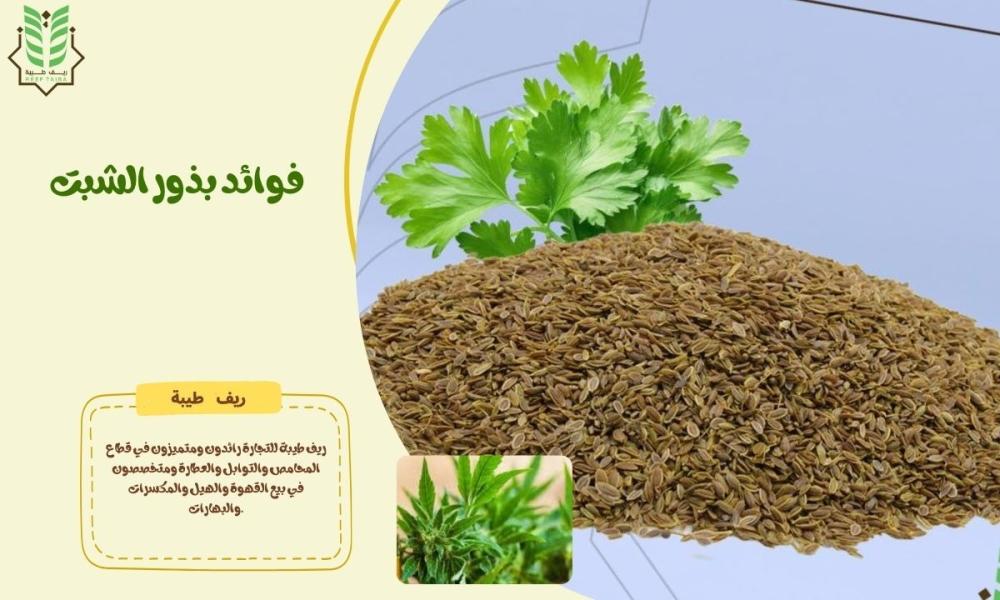 فوائد بذور الشبت