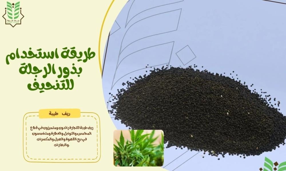 طريقة استخدام بذور الرجلة للتنحيف | فوائد مذهلة للتخسيس