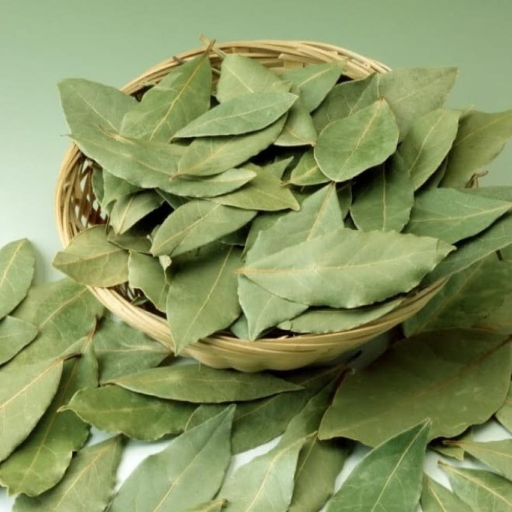 فوائد السدر للشعر: سر طبيعي لتقوية الشعر وتحسين مظهره