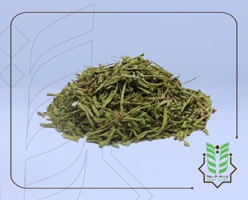 ورق حبق