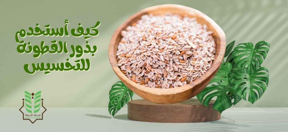 كيف أستخدم بذور القطونة للتخسيس | فوائد وطريقة الاستخدام