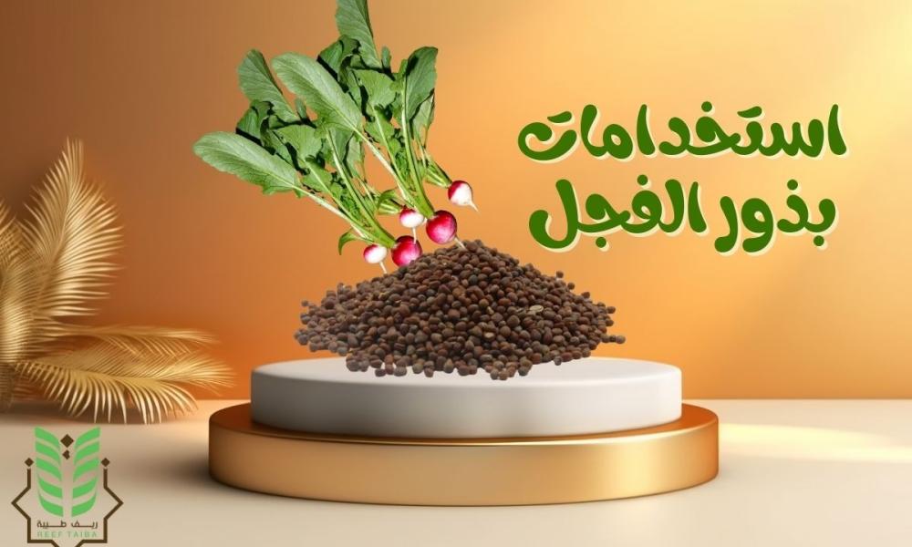 استخدامات بذور الفجل: الفوائد المدهشة للصحة والجسم مع طرق الاستعمال