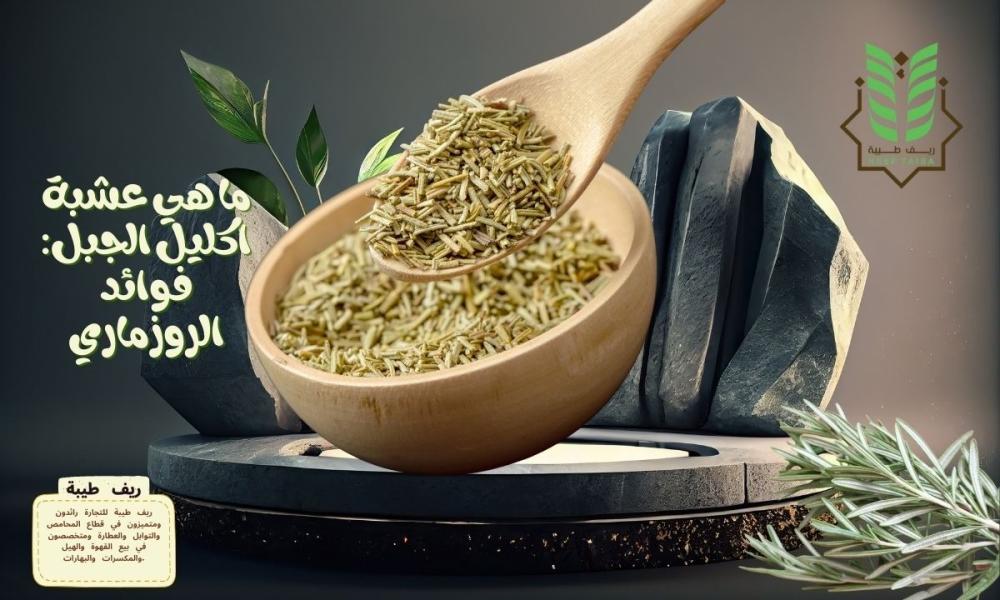 ما هي عشبة اكليل الجبل: فوائد الروزماري