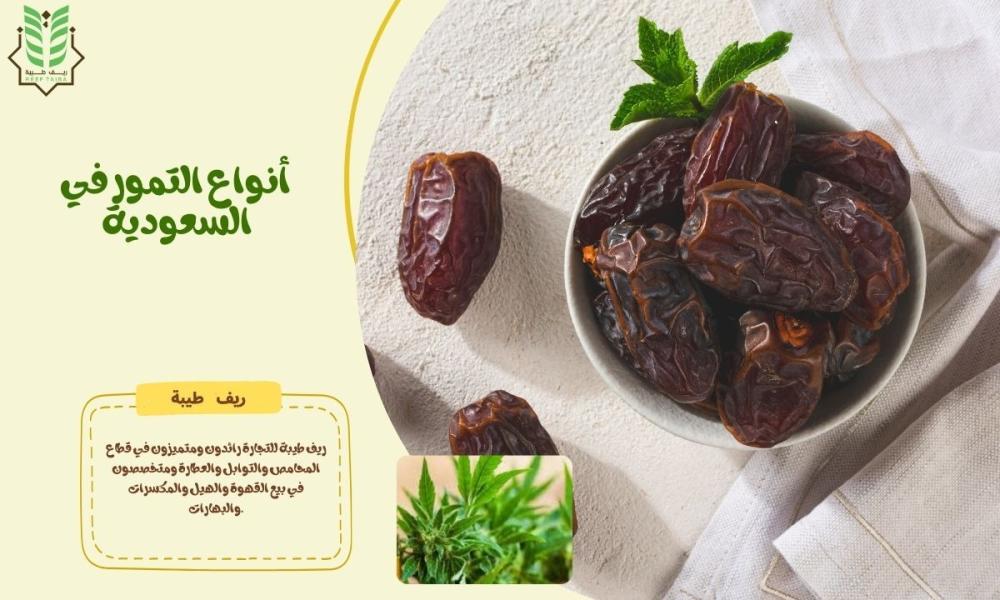 انواع التمور في السعودية