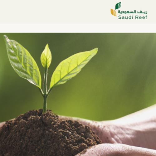 خطوات تقديم برنامج ريف