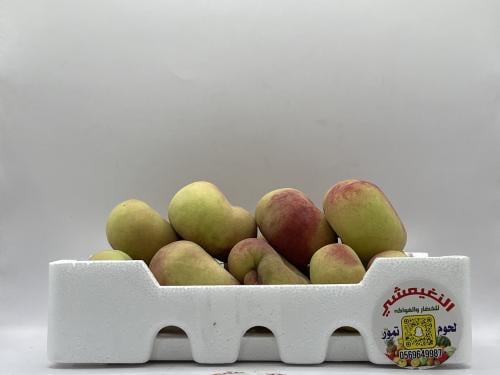 كعب الغزال فلين صغير