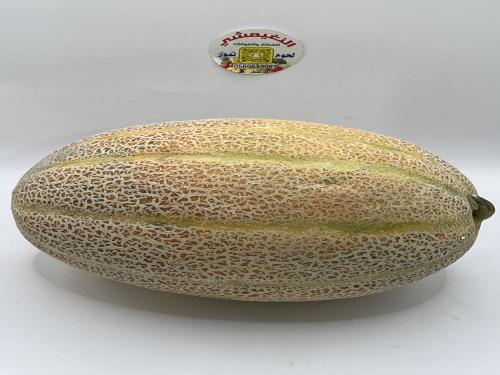 شمام منجاوي حبةوسط