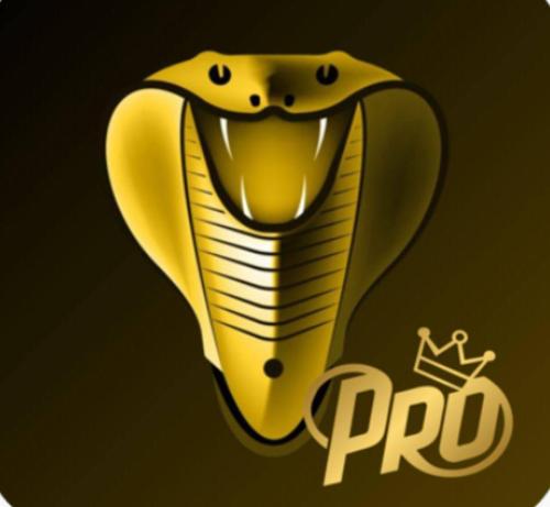 Cobra TV مدة 6 أشهر