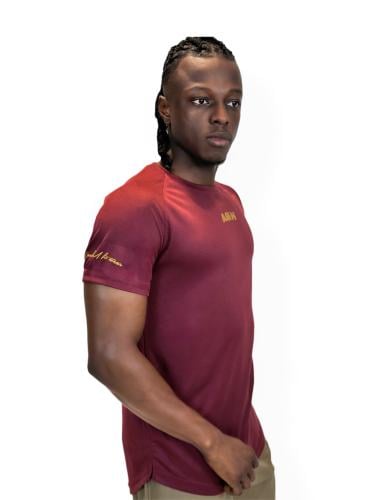 FIT SHIRT _Maroon