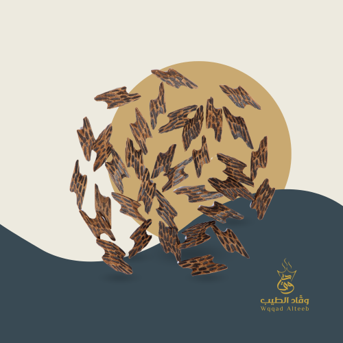 كمبودي ( تايقر )