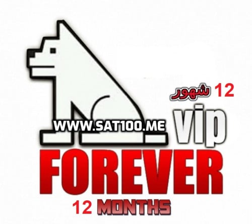 فورايفر شيرينج VIP 12 شهر سنة - FOREVER IKS VIP 12...