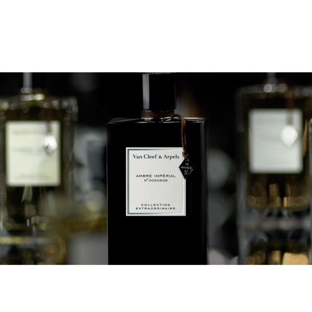 香水(ユニセックス) Van Cleef & Arpels Ambre Imperial 75ml Van Cleef & Arpels AMBRE IMPERIAL eau de parfum - Fragrance