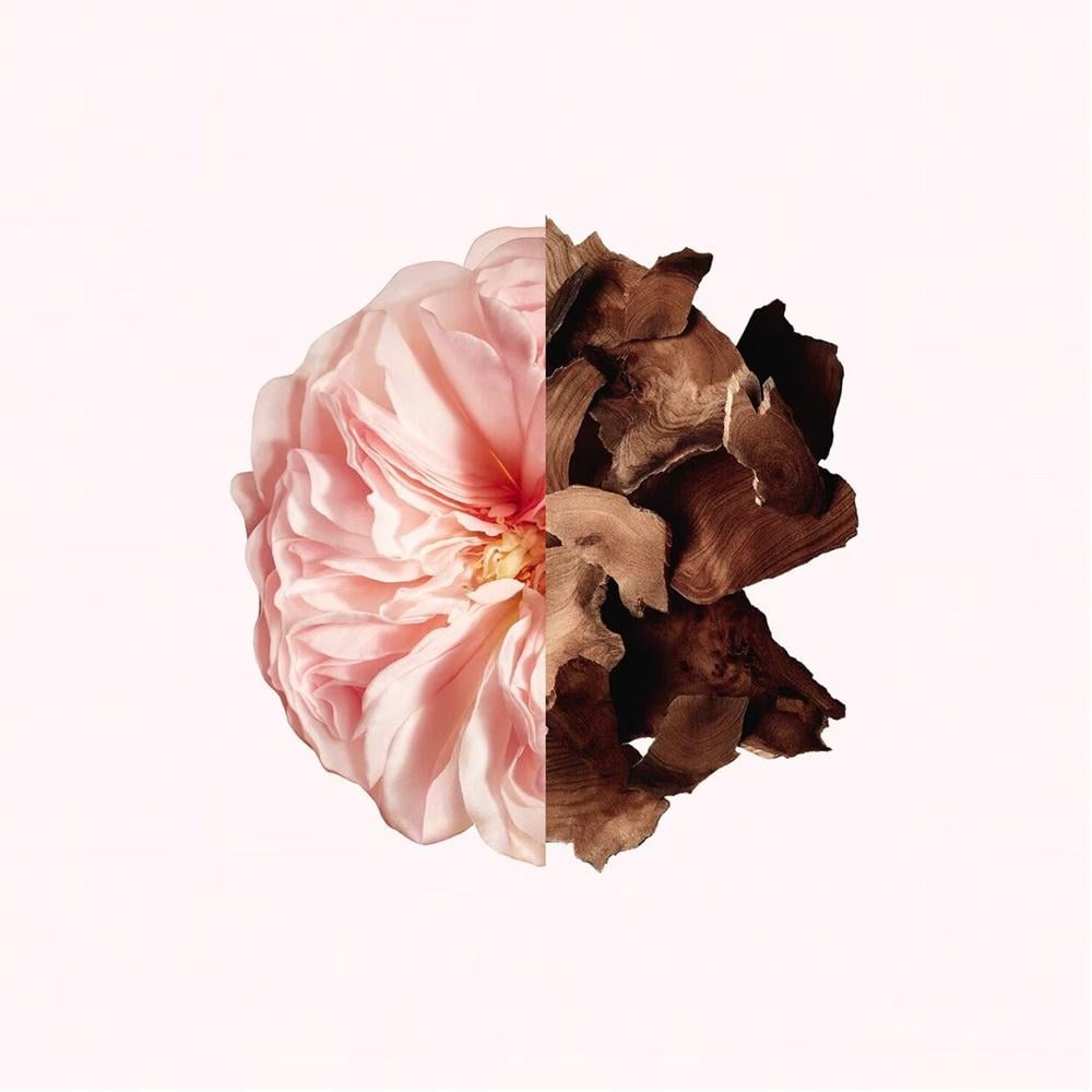 Givenchy Irresistible Hair Mist Beauty Potion