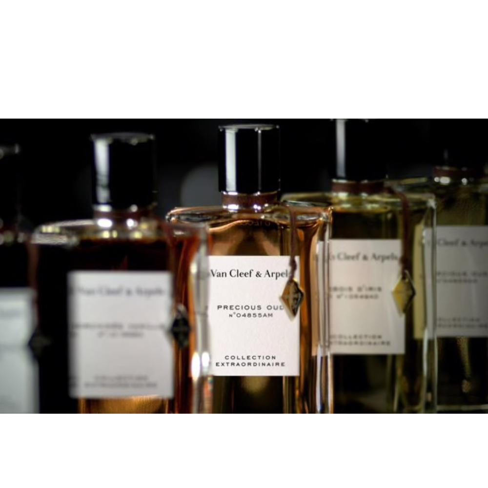 Van Cleef & Arpels Precious Oud - Beauty Potion