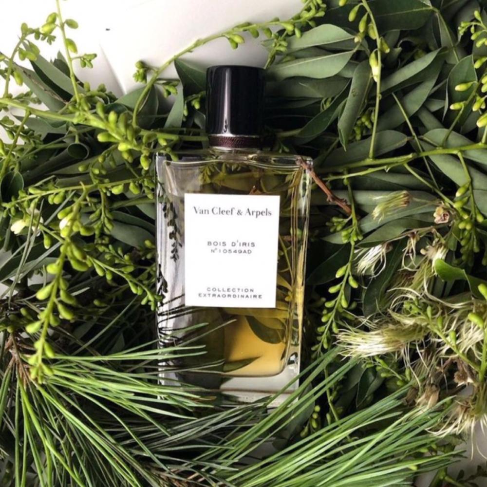 香水(ユニセックス) Van Cleef & Arpels Bois d'Iris 75ml Bois d'Iris