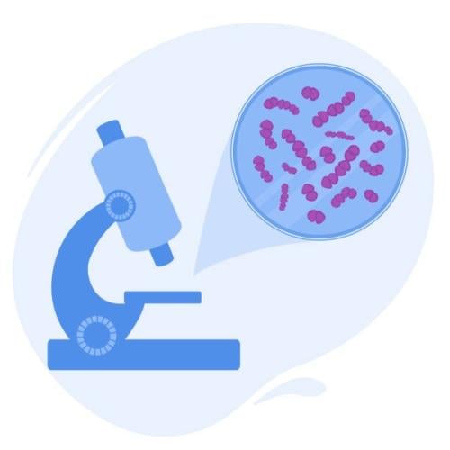 حل و تنسيق مادة Diagnostic microbiology