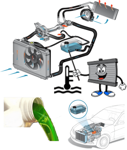 تغير مياه الرديتير