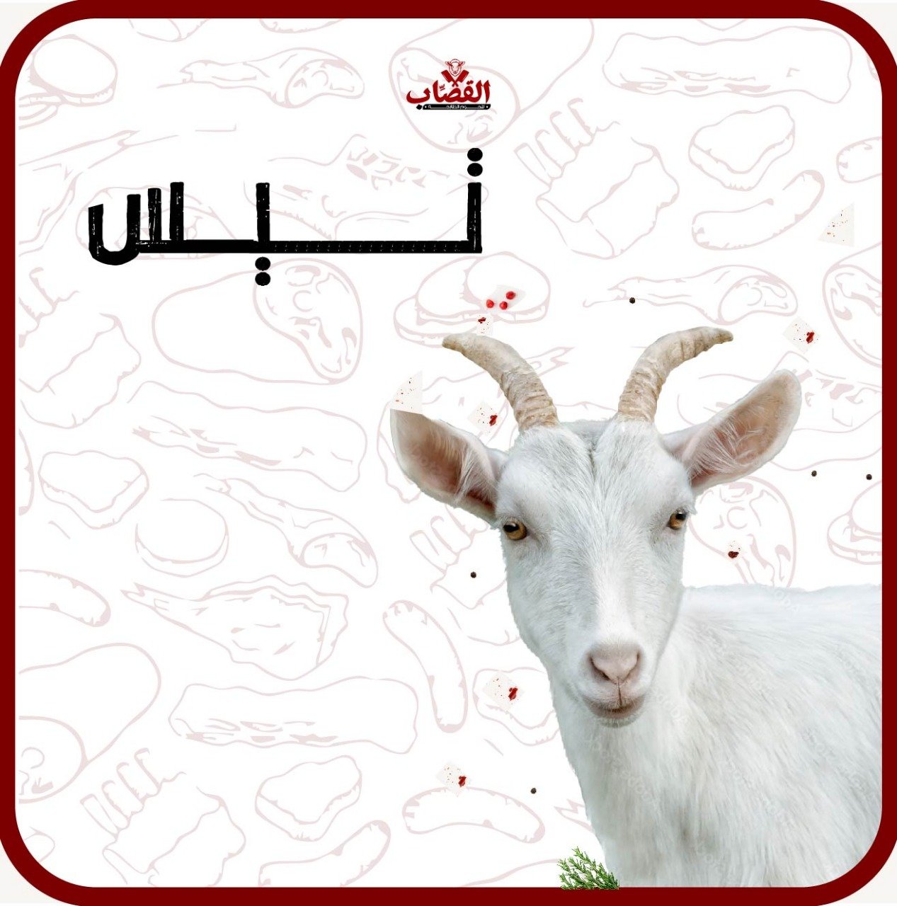 تيس مرابي