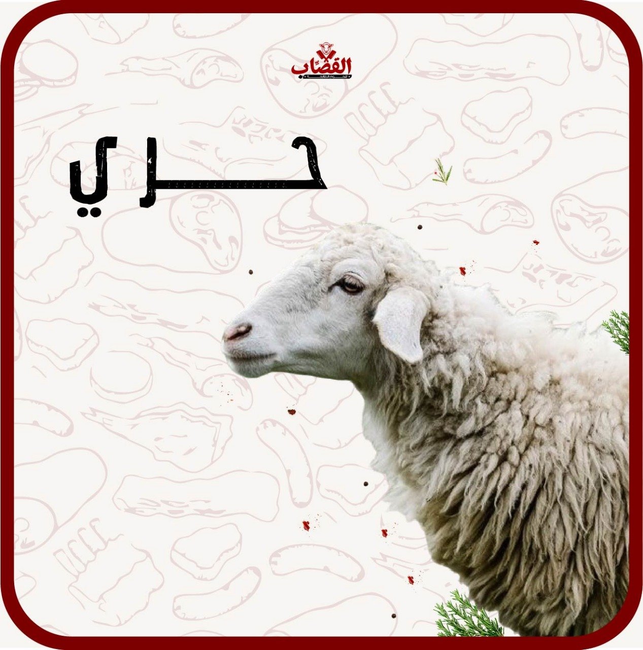 حري مرابي