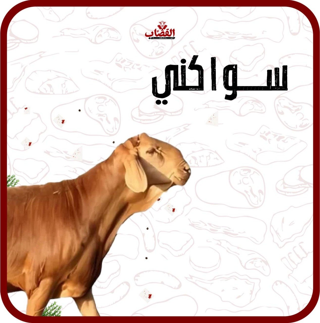 سواكني مرابي