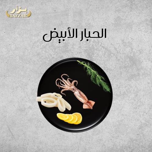 الحبار الابيض