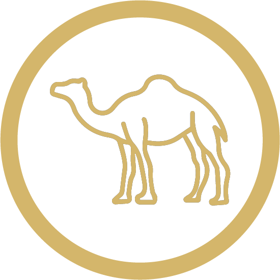 حاشي