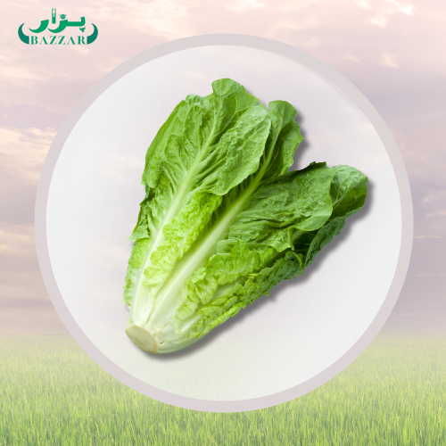 خس رومان