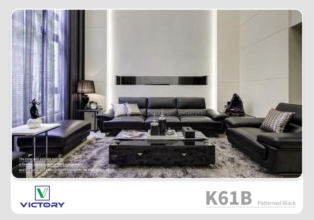 فيش انترنت victory