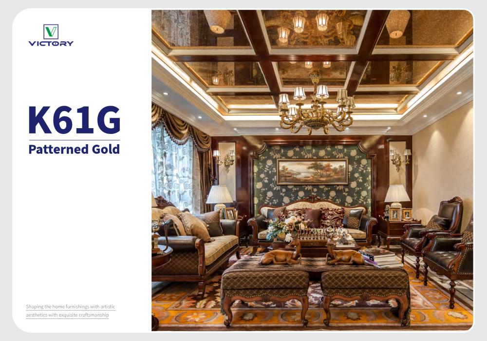 فيش انترنت victory