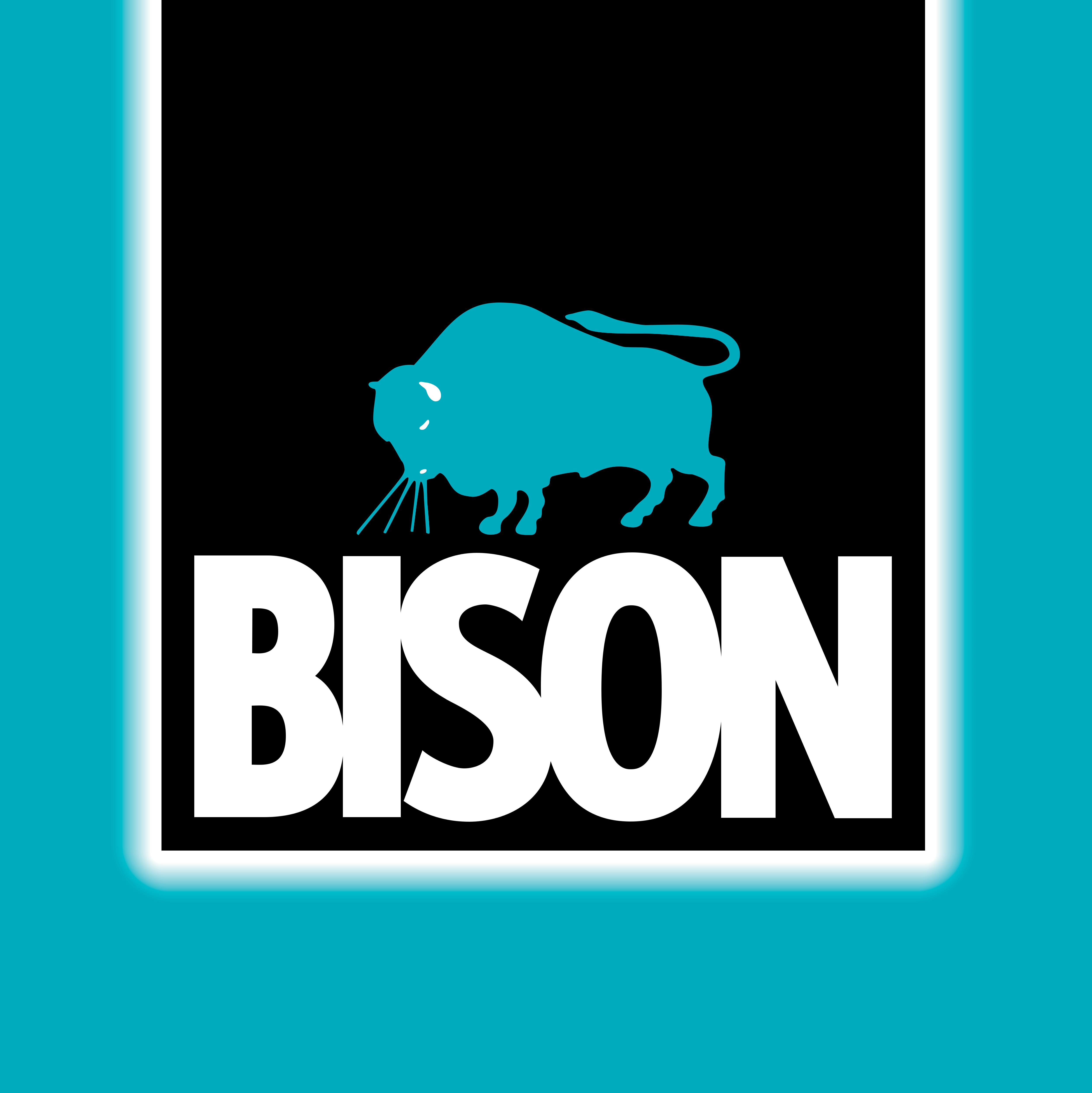 BISON - بايسون