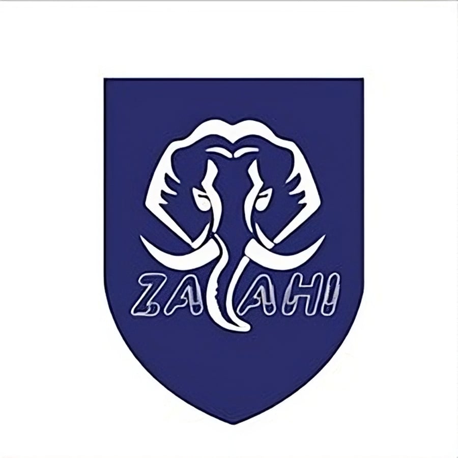 زاهي