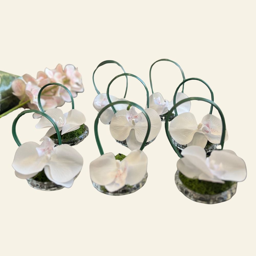 مستلزمات مناسبات