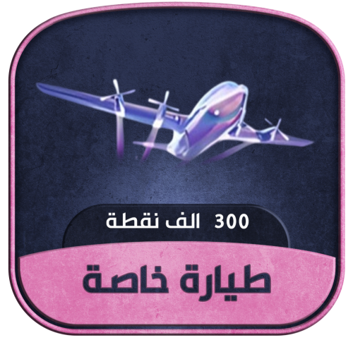 طيارة خاصة - 300 ألف شعبية