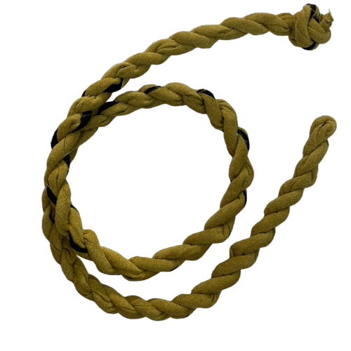 قيد الابل