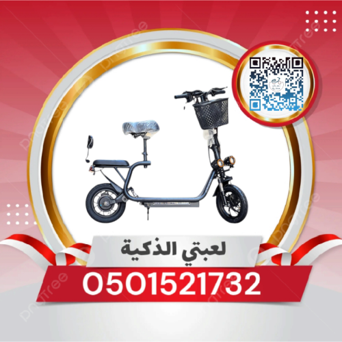 سكوتر سلة كشافيين حجم كبير