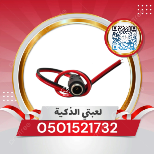 مدخل شاحن سياره _دباب