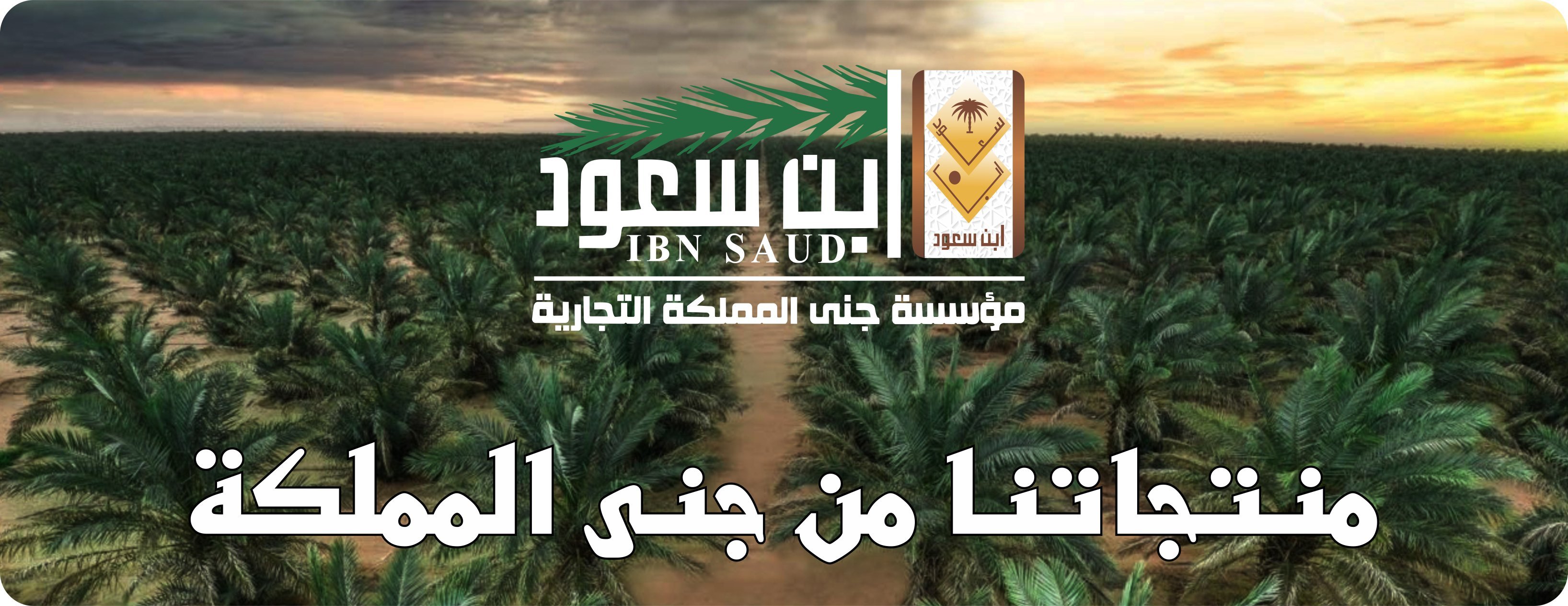 ابن سعود image-slider-4
