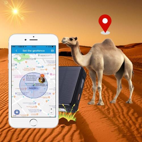 جهاز تتبع جمال و اغنام بالطاقة الشمسية