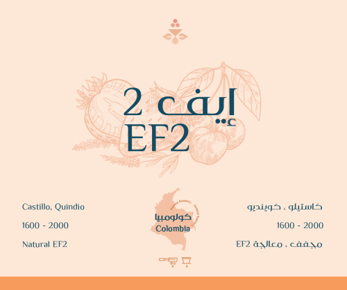 2 EF2 | إيف 2