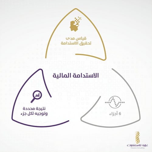 الاستدامة المالية