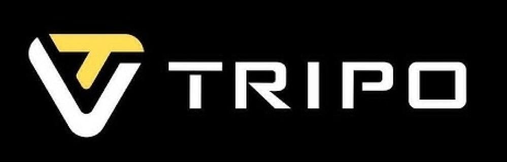 كيف تستخدم Tripo.ai لإنشاء مجسمات ثلاثية الأبعاد وطباعتها في دقائق