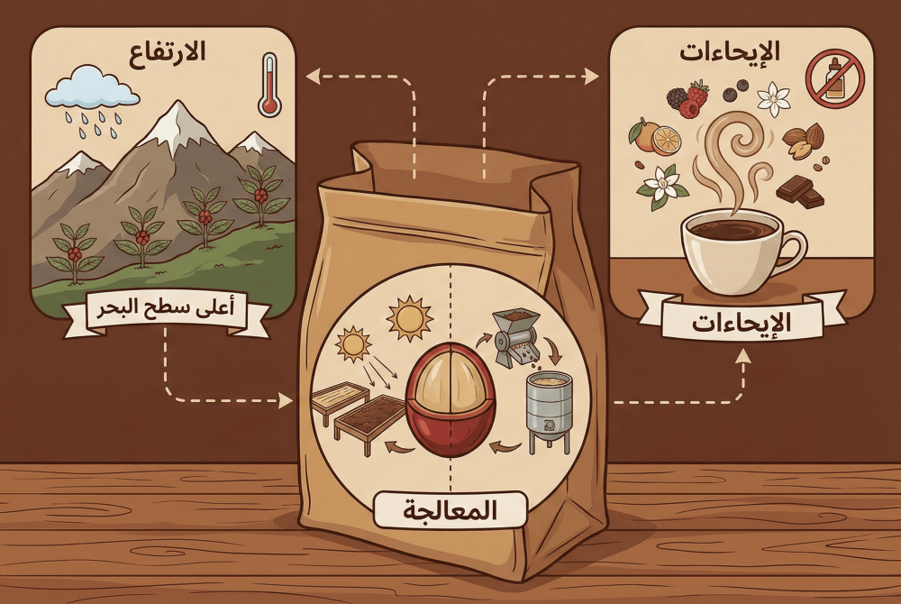 كيف تقرأ كيس القهوة المختصة ؟ شرح مبسط لمصطلحات (المعالجة، الارتفاع، و