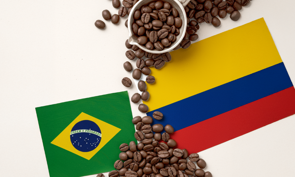 القهوة الكولومبية والبرازيلية: مقارنة بين عمالقة الحبوب