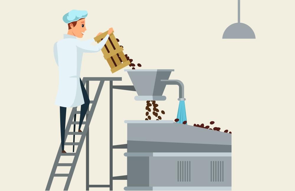 أنواع المعالجة لحبوب القهوة المختصة: المجففة، المغسولة والعسلية