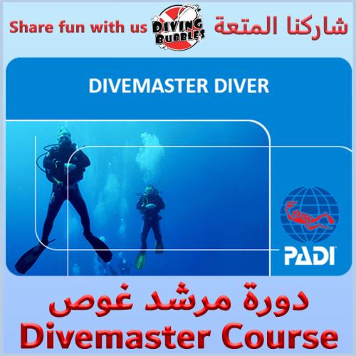 دورة مرشد غوص