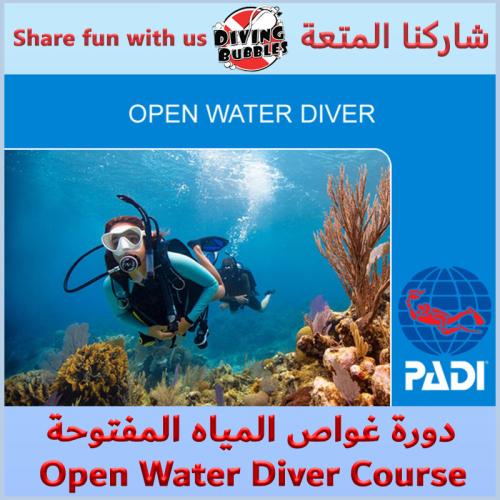 دورة غواص مبتدئ